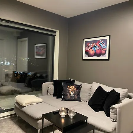 別荘 House In トロムソ